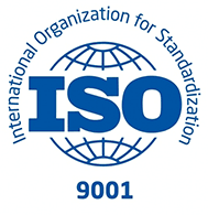 图层 67 About Us 4